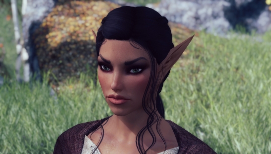 Gk Female Npc Replacer Mod V Dm Mod