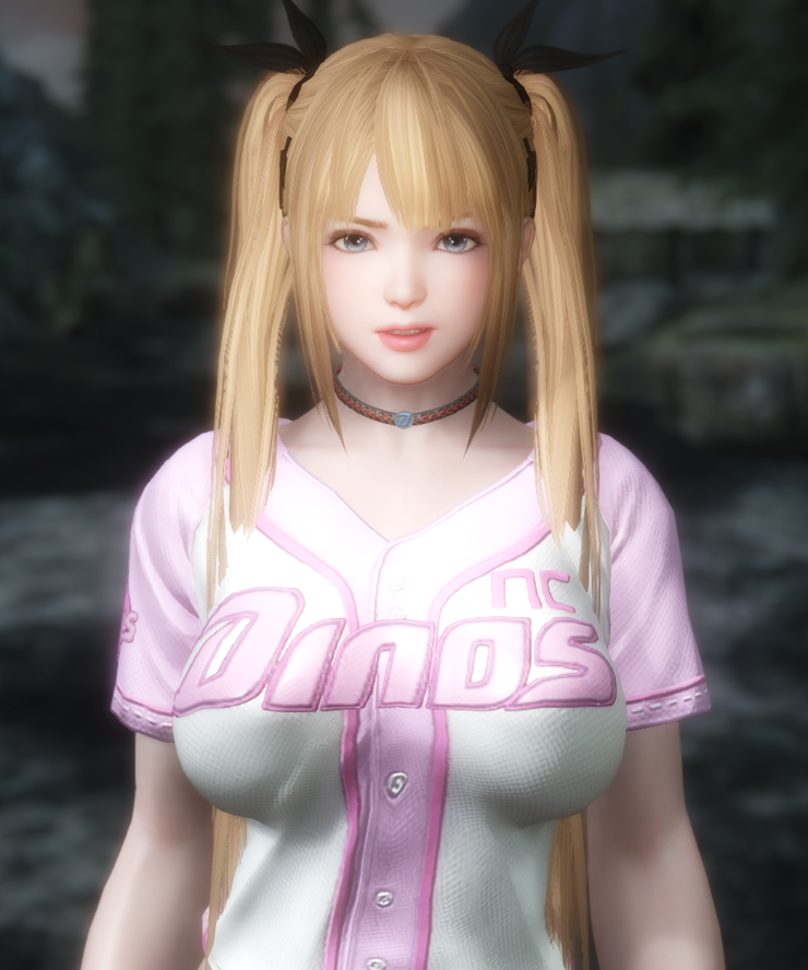 汉化doa5种族日语语音随从玛丽罗斯unp身形随从类mod更新v10