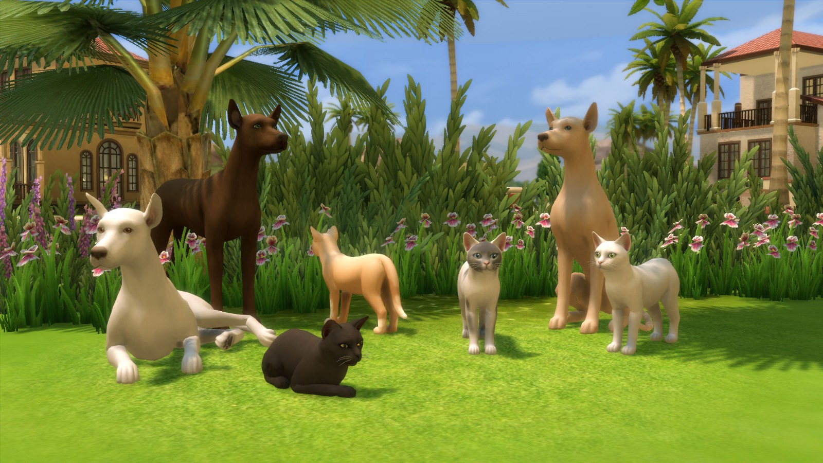  Discover the Best Sims 4 Pets Mod Without Expansion Pack for an Enhanced Gameplay Experience