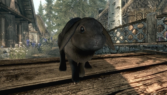 Zephyr-独立的兔子伴侣和朋友 1.0