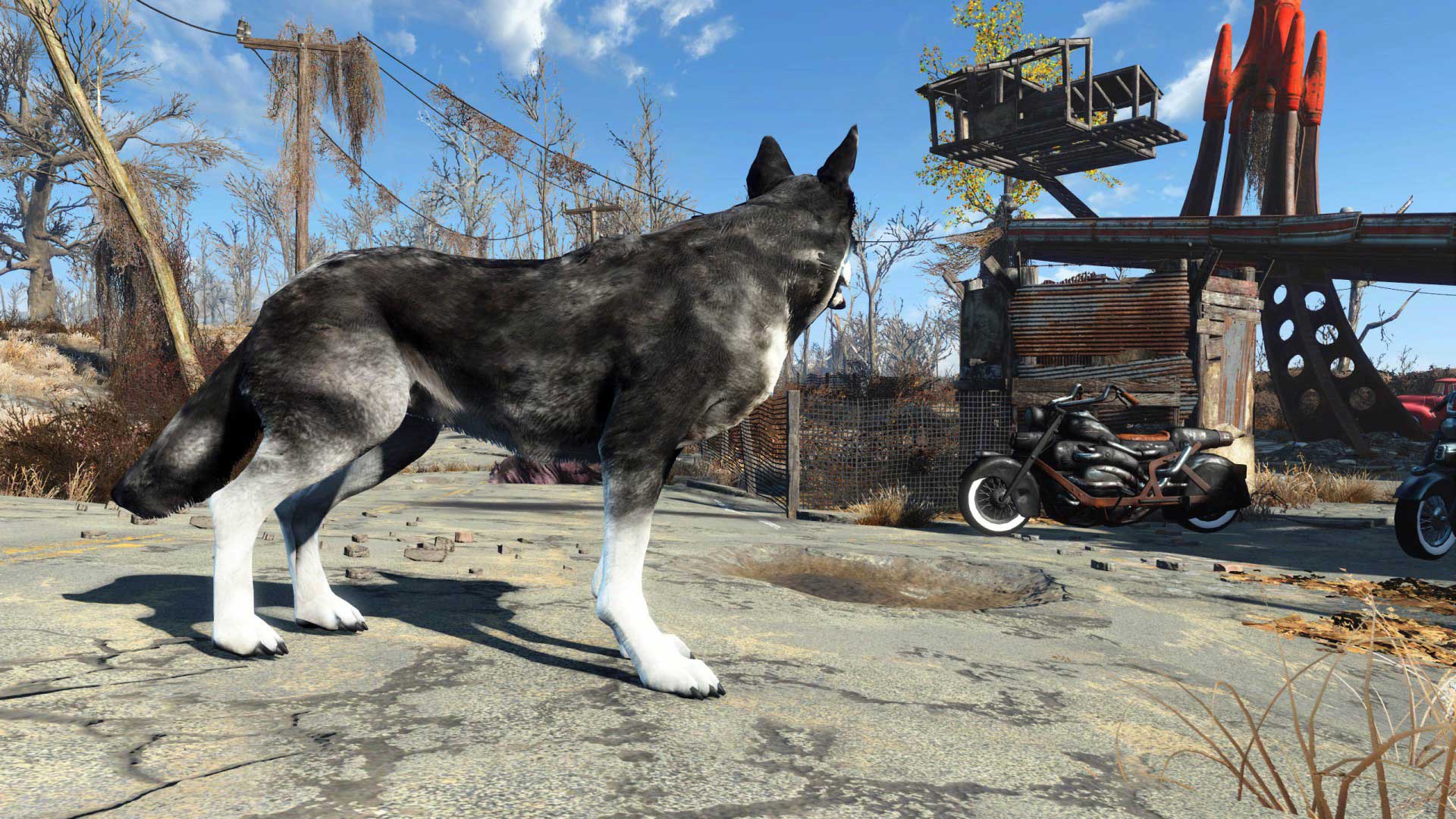 辐射4 狗肉变暗黑哈士奇mod