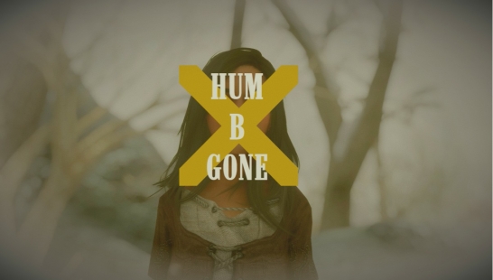 上古卷轴5：重置版 Hum-B-Gone Mod V1.0 下载- 3DM Mod站