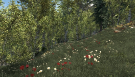 裂谷夏季版-裂谷中的绿草