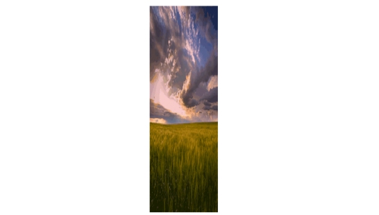 天空稻田风景（素材来自网络）