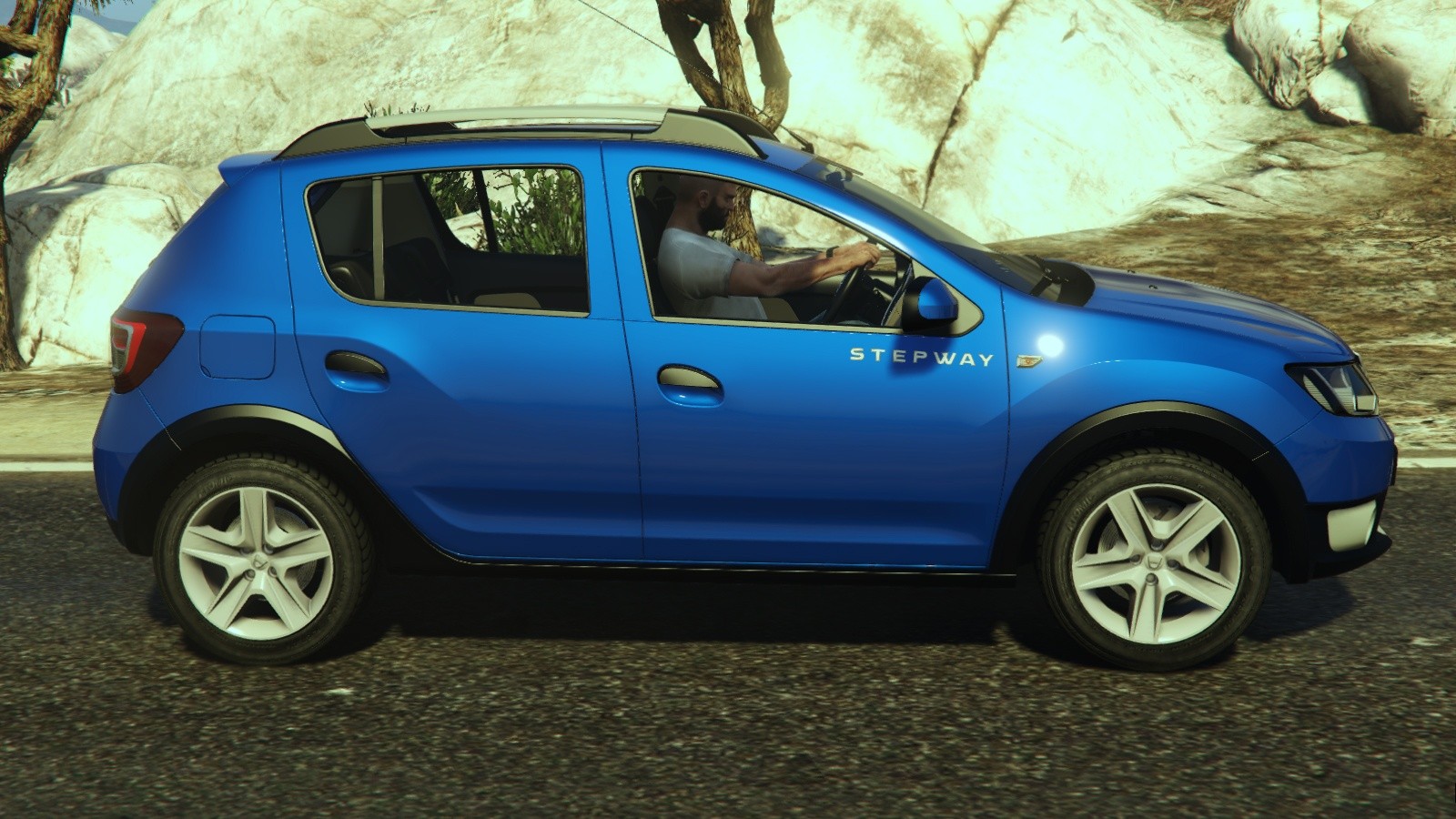 daciasanderostepway2014