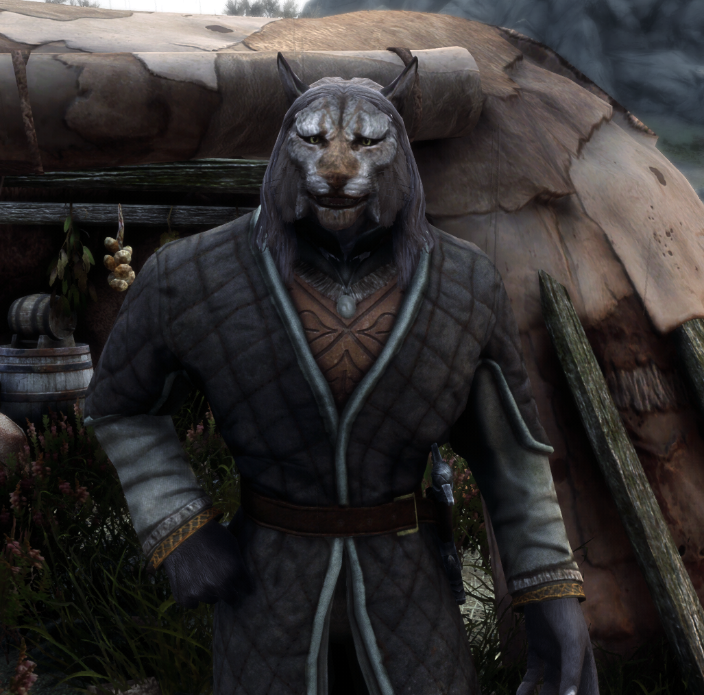 Bestial Beast Races SE - Argonians和Khajiit的肌肉身体变形和高度缩放下载_V1.0版本_上古卷轴5：重 ...