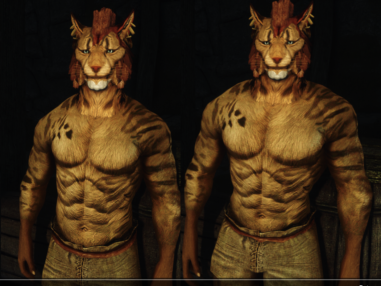 Bestial Beast Races SE - Argonians和Khajiit的肌肉身体变形和高度缩放下载_V1.0版本_上古卷轴5：重 ...