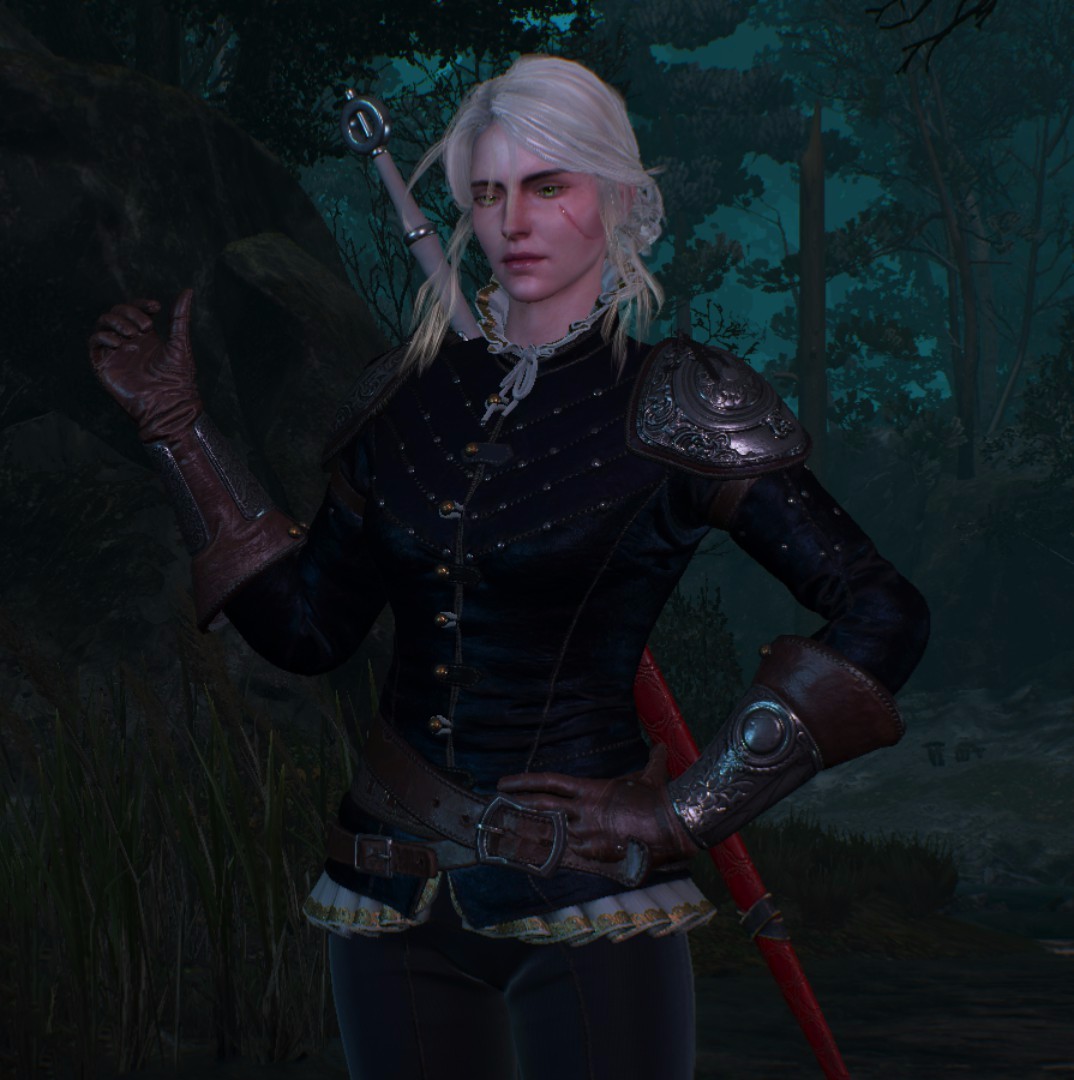 巫师3:狂猎 服装首饰 希里上衣服装 截图