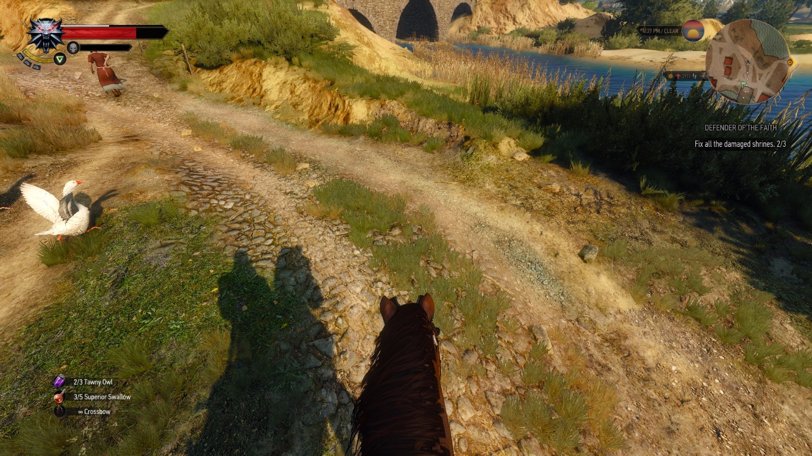 The witcher 3 horse mod фото 56