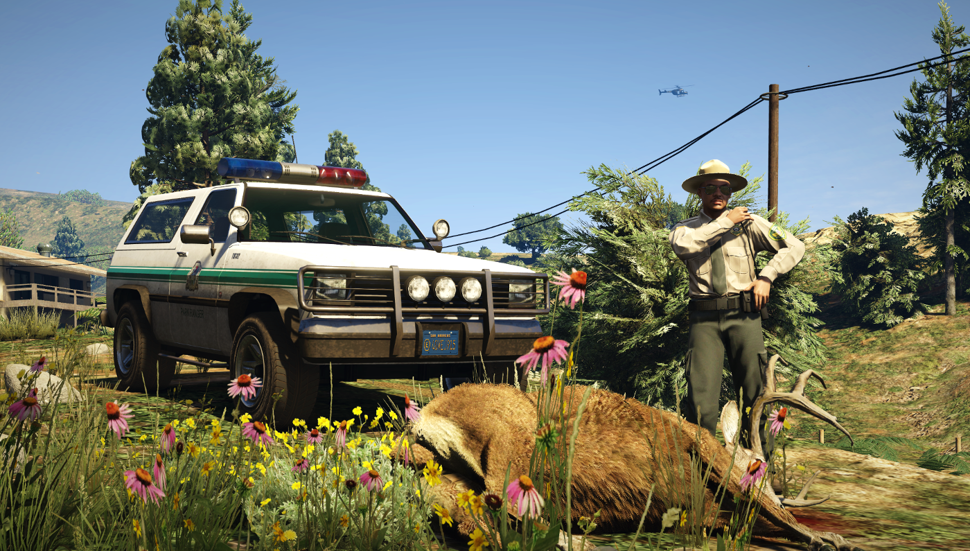 Declasse park ranger