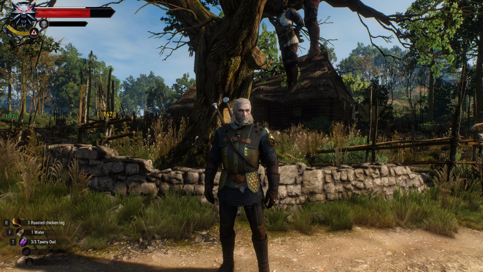 巫师3:狂猎 武器装备 griffin mail retexture(重做狮鹫套) 截图