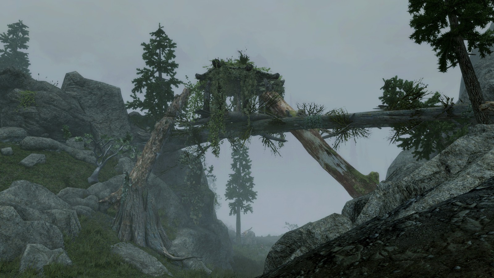 DS Reach V1 1 5 Mod 3DM MOD 