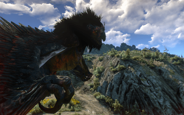 巫师3:狂猎 材质贴图 黑暗的狮鹫 截图