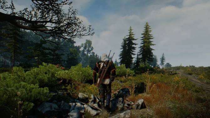 where to put reshade presets witcher 3
