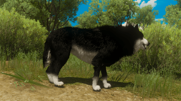 巫师3:狂猎 材质贴图 - wolf color -(狼的颜色) 截图