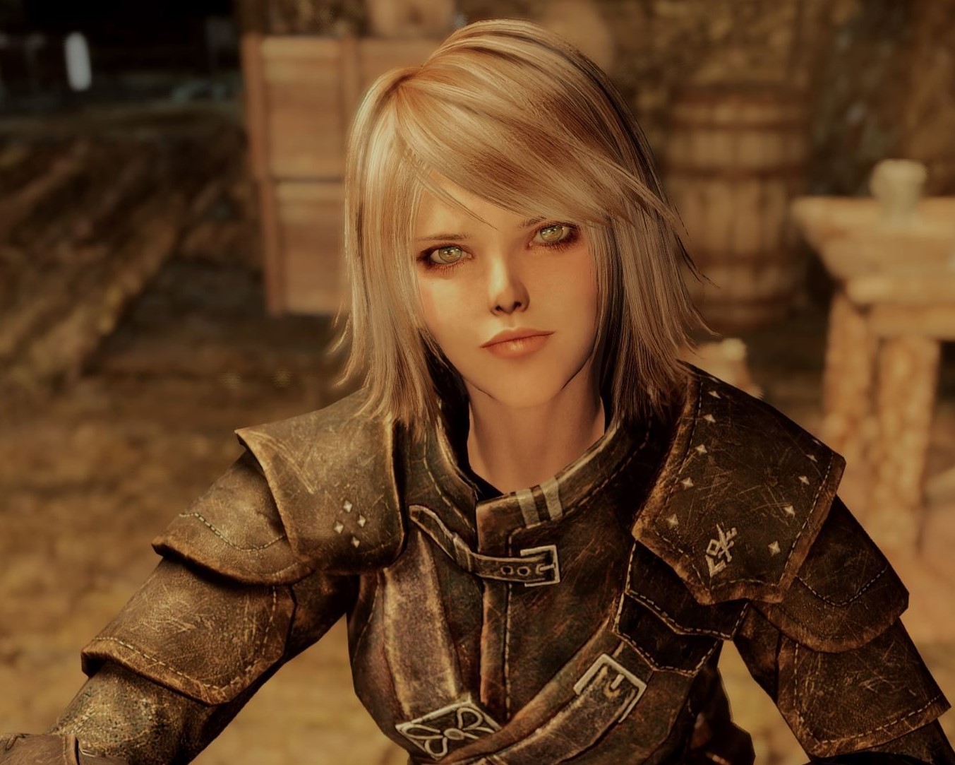 上古卷轴5:天际 随从模组 盗贼公会 阿斯垂德 天际之子乌弗瑞克 5人