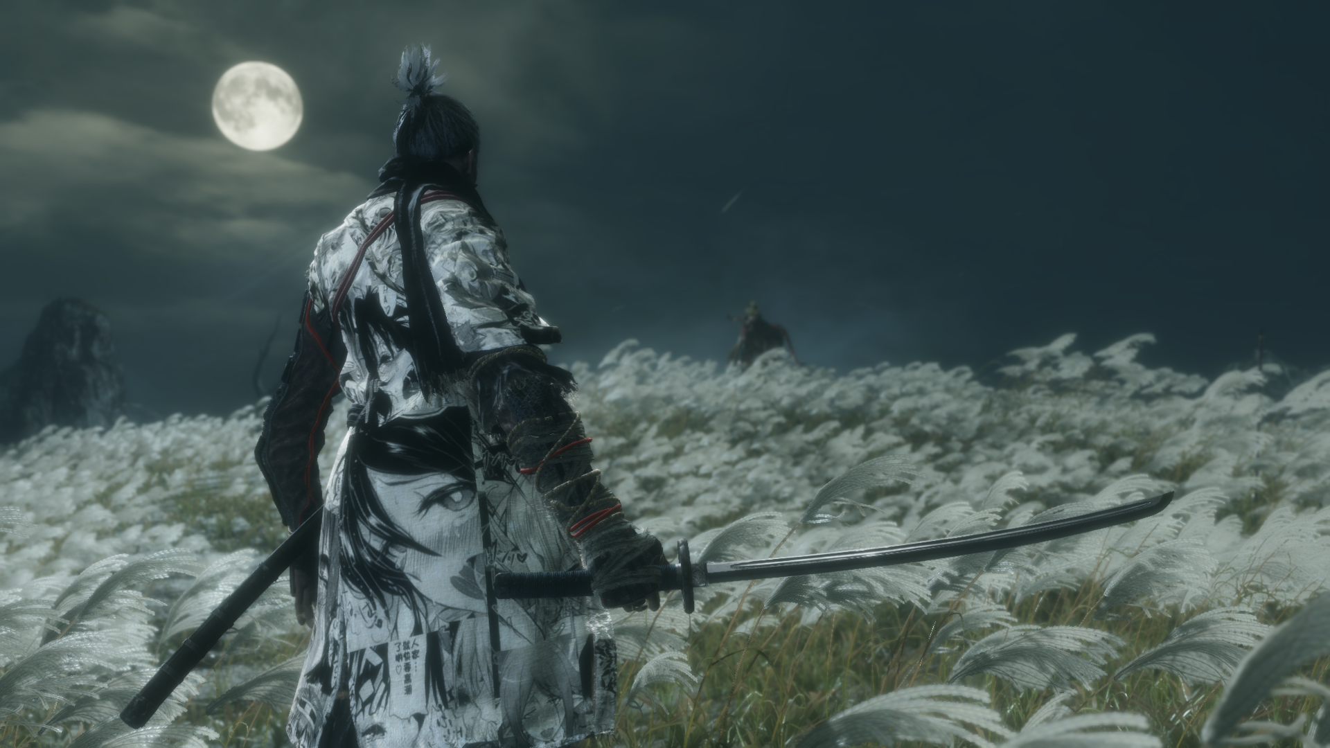 堕落的只狼皮肤