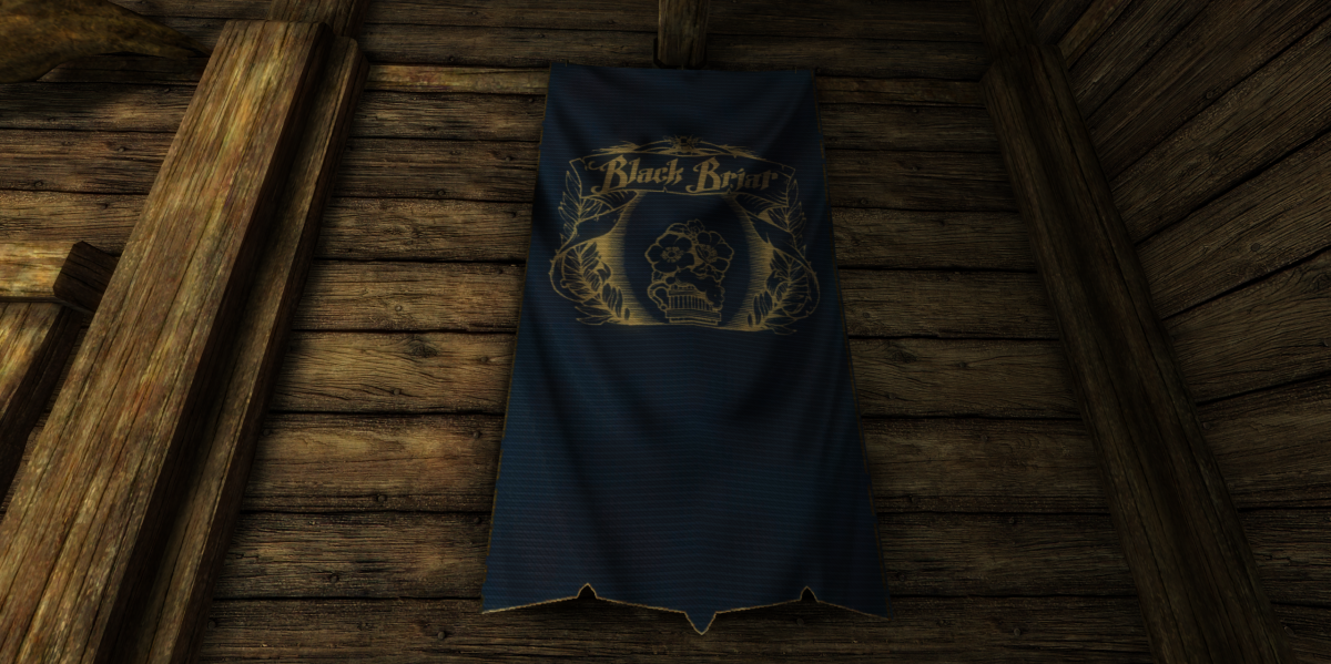 相关作品《上古卷轴5:天际》wood fairy 木精灵套装mod|模拟人生4