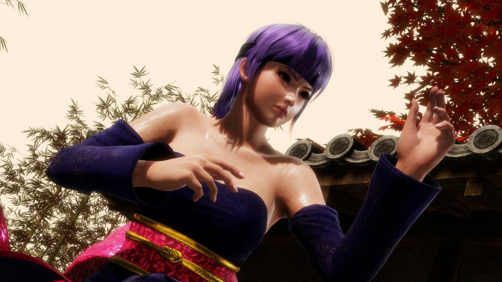 绫音doa2服装配色紫色