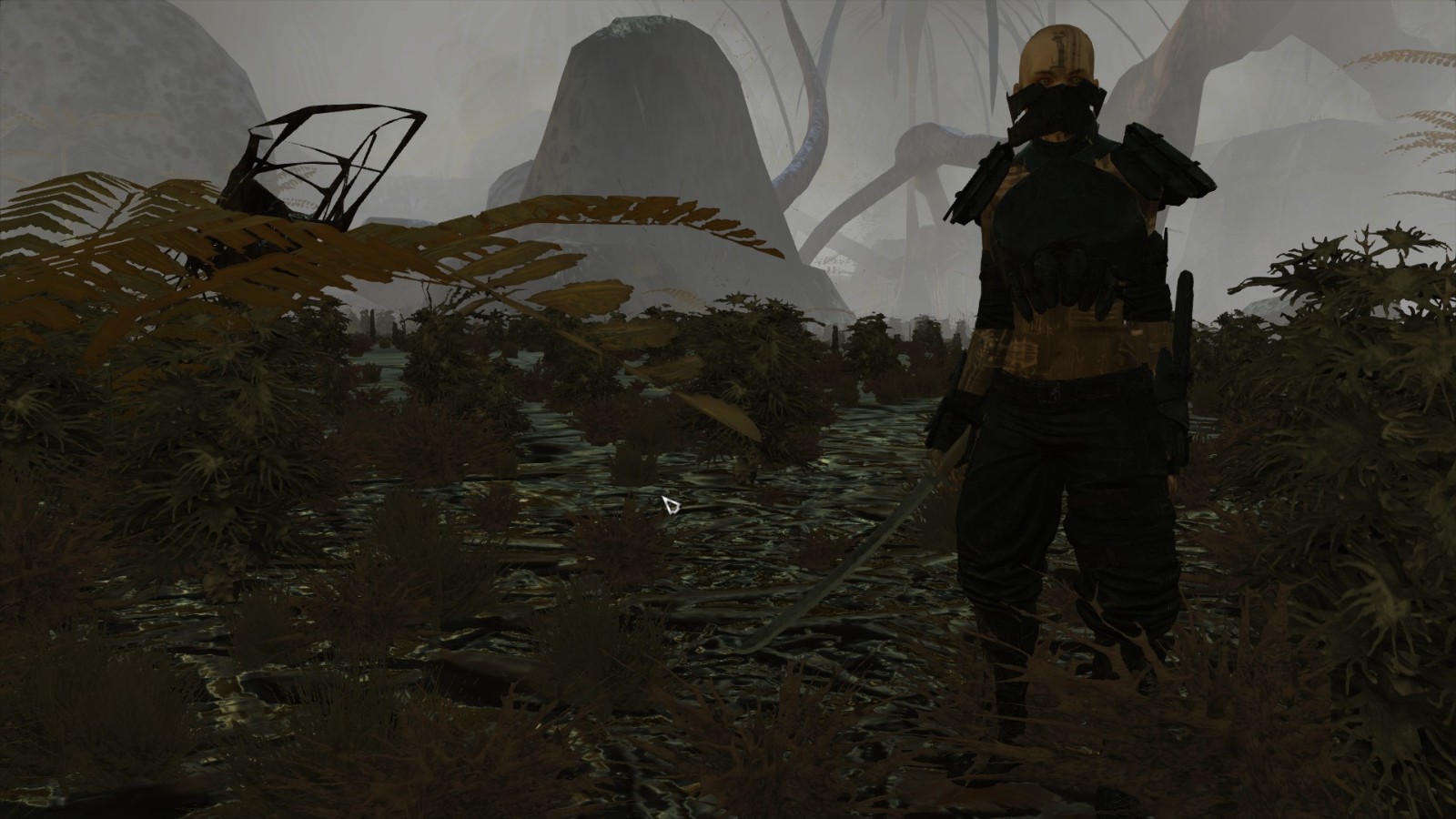 剑士 在沼泽中添加雾 mod v1.0 下载- 3dm mod站