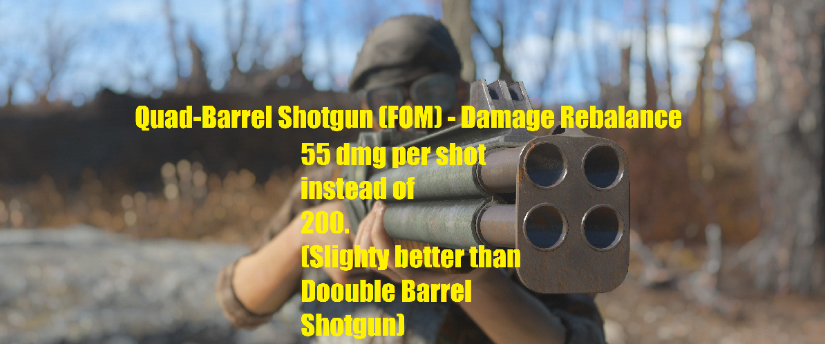 四管霰弹枪(fom) - 伤害再平衡