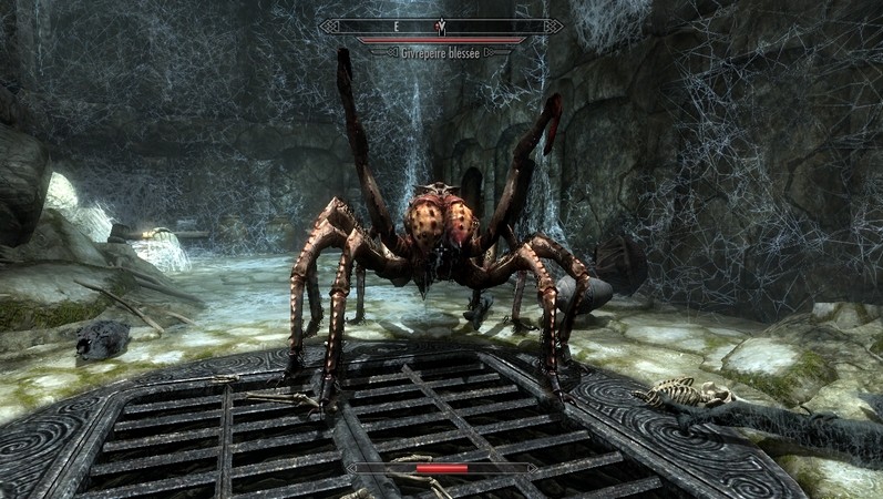 spidersinfestation蜘蛛侵扰