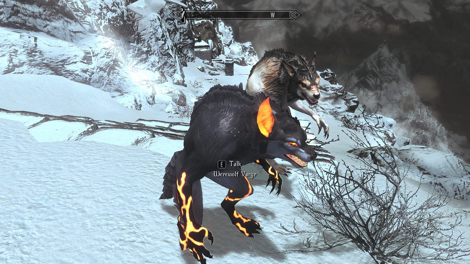 01)|trillyke - jealousy athletic top 女性运动上衣|阿尔法罗密欧