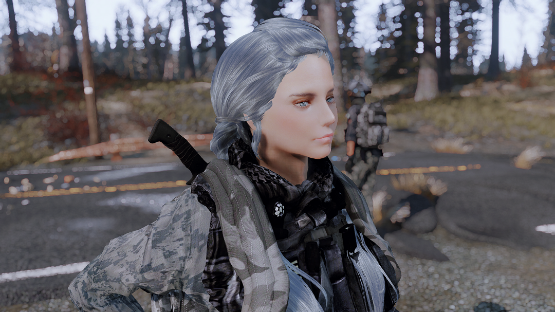 辐射4 丽丽 - looksmenu预设 mod v1.0 下载- 3dm mod站