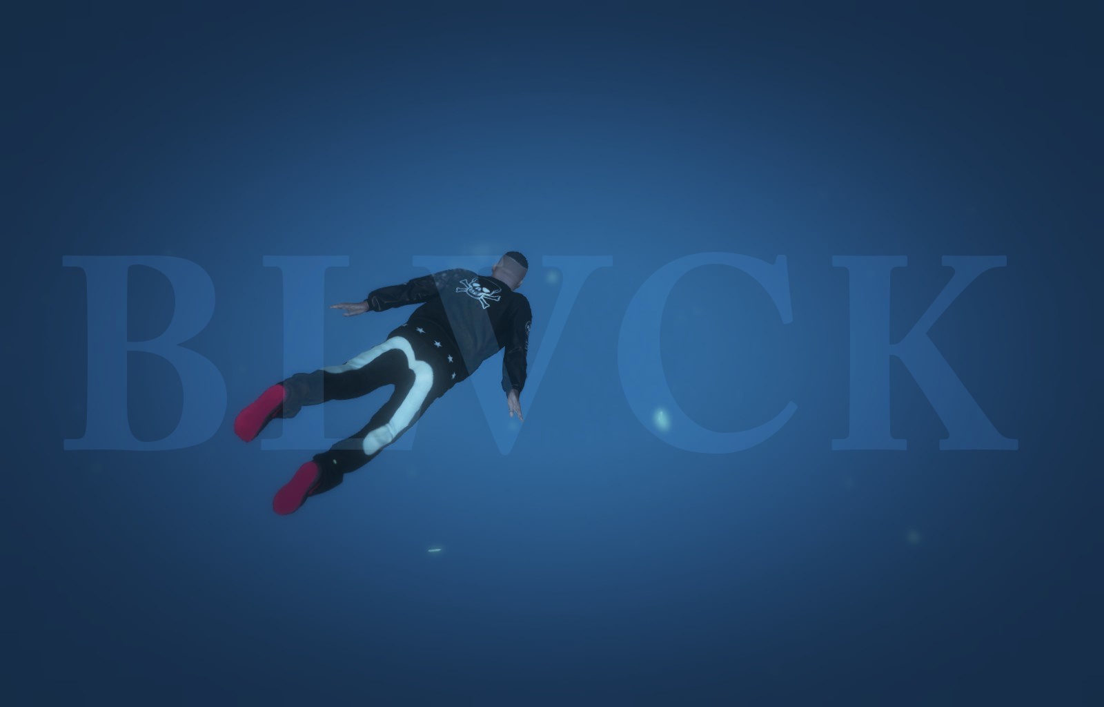 女深色evisu牛仔裤白色海鸥