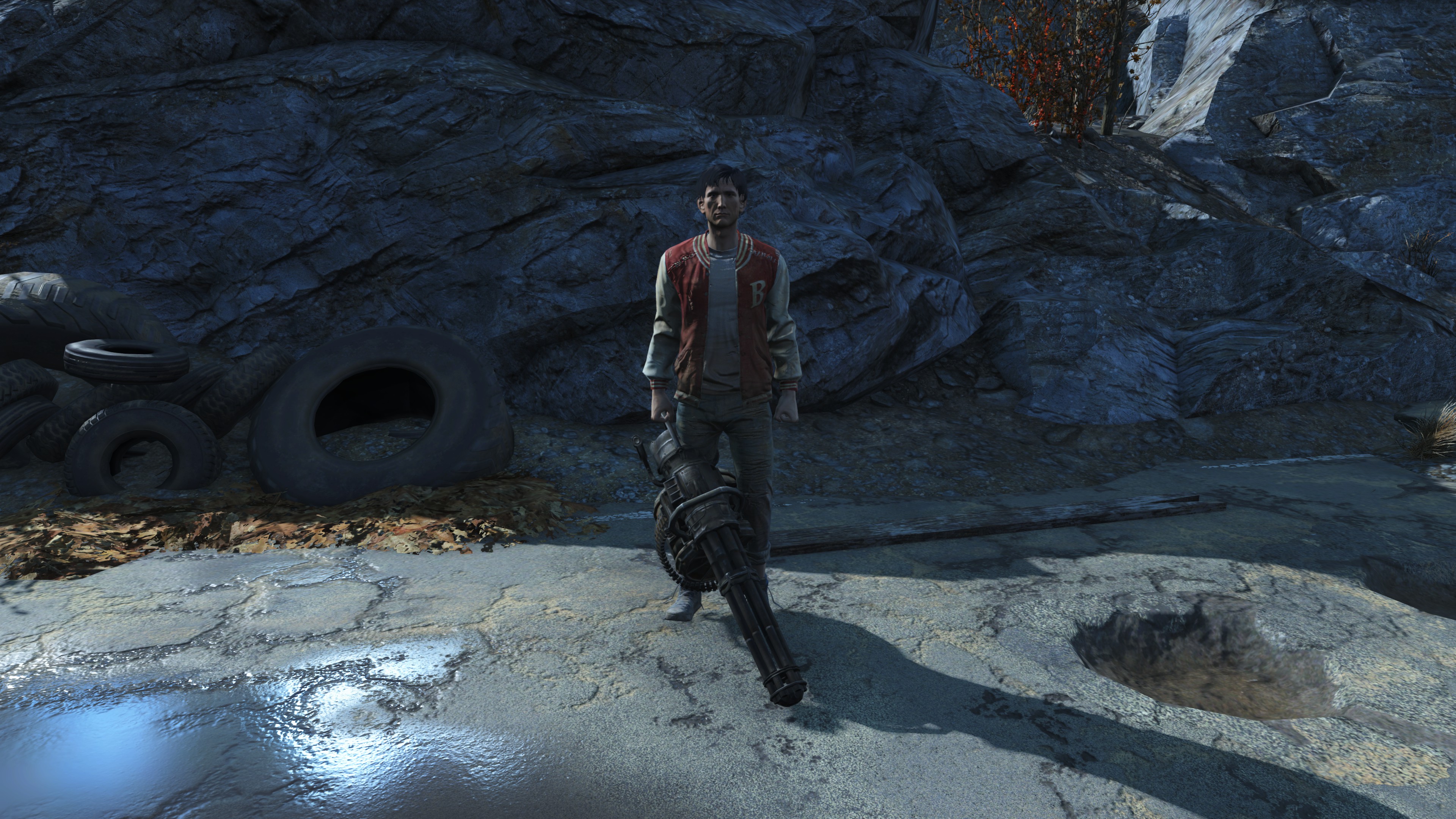 托德·霍华德(todd howard)- 同伴.