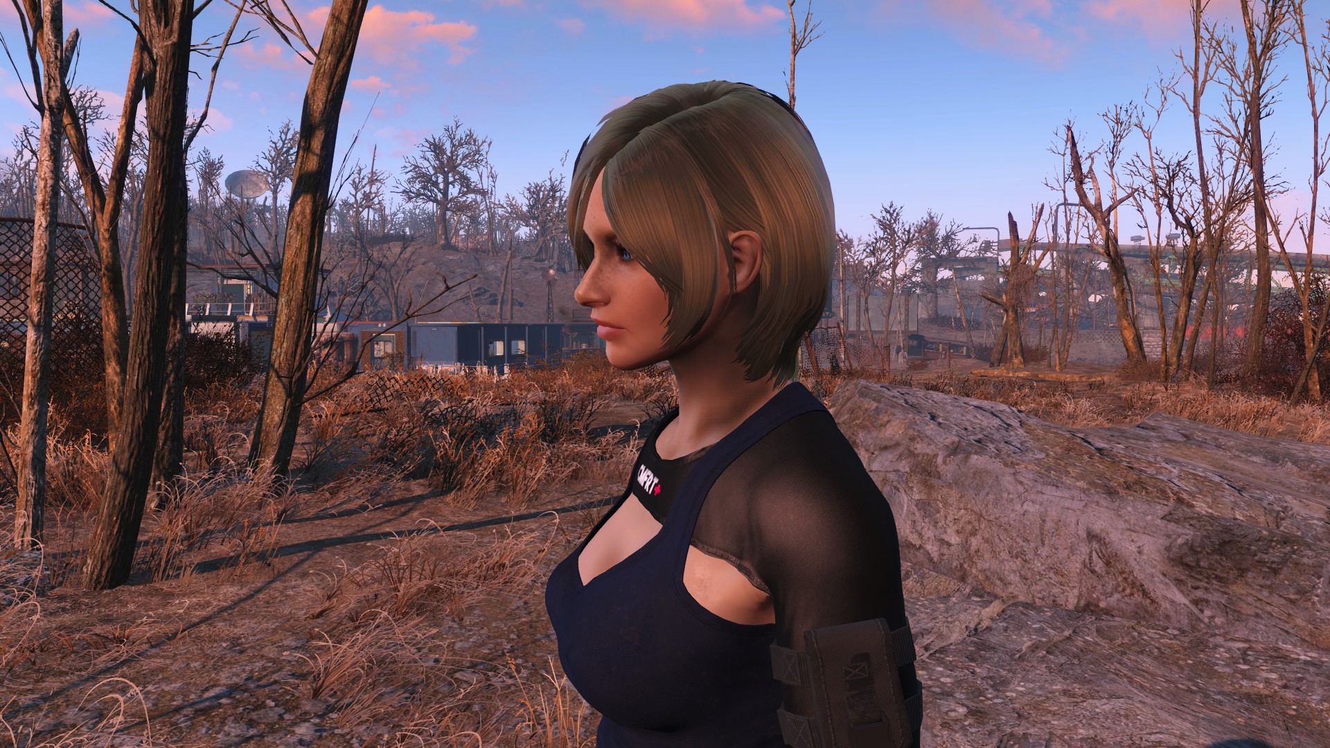 辐射4 人物美化 bda - looksmenu预设 截图