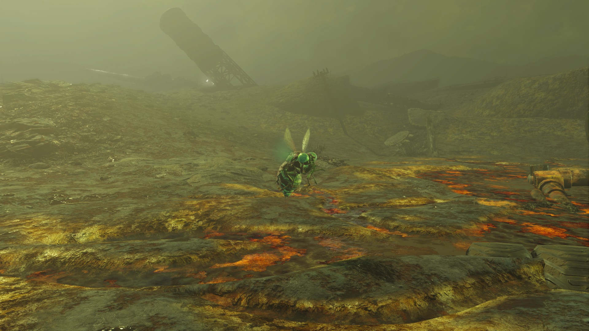 辐射4 npc同伴 发光的海洋发光的小动物 截图