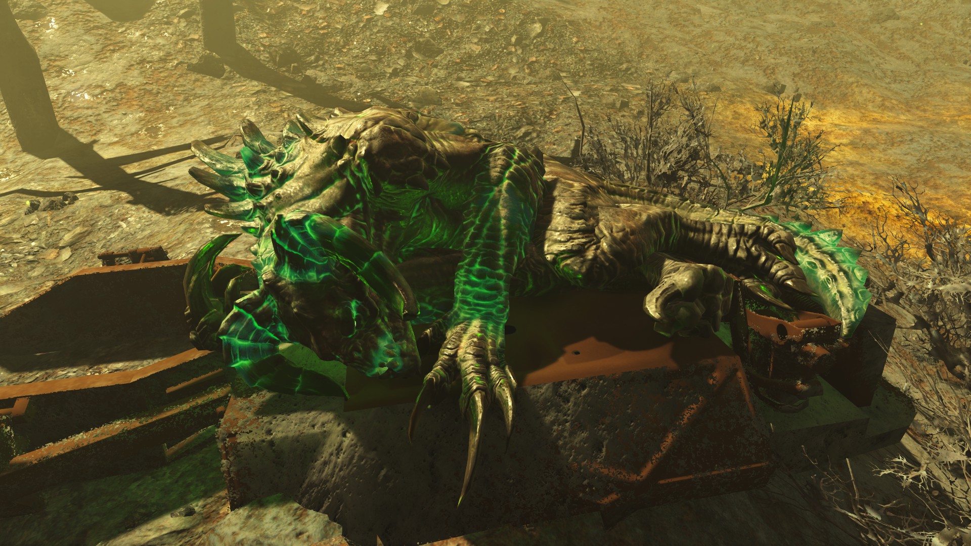 辐射4 npc同伴 发光的海洋发光的小动物 截图