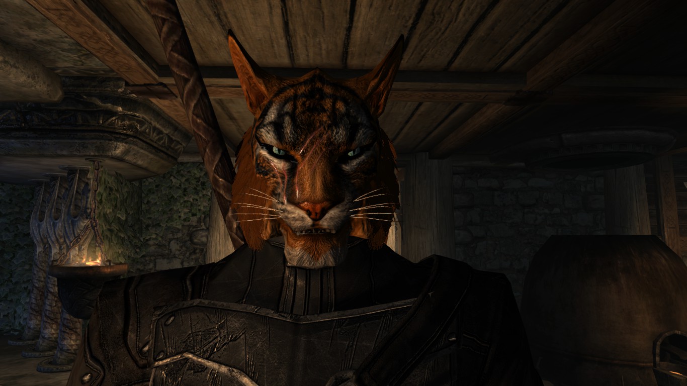 Jah Do Rikaar Khajiit随从下载 Vv1 1版本 上古卷轴5 天际mod下载 3dm Mod站