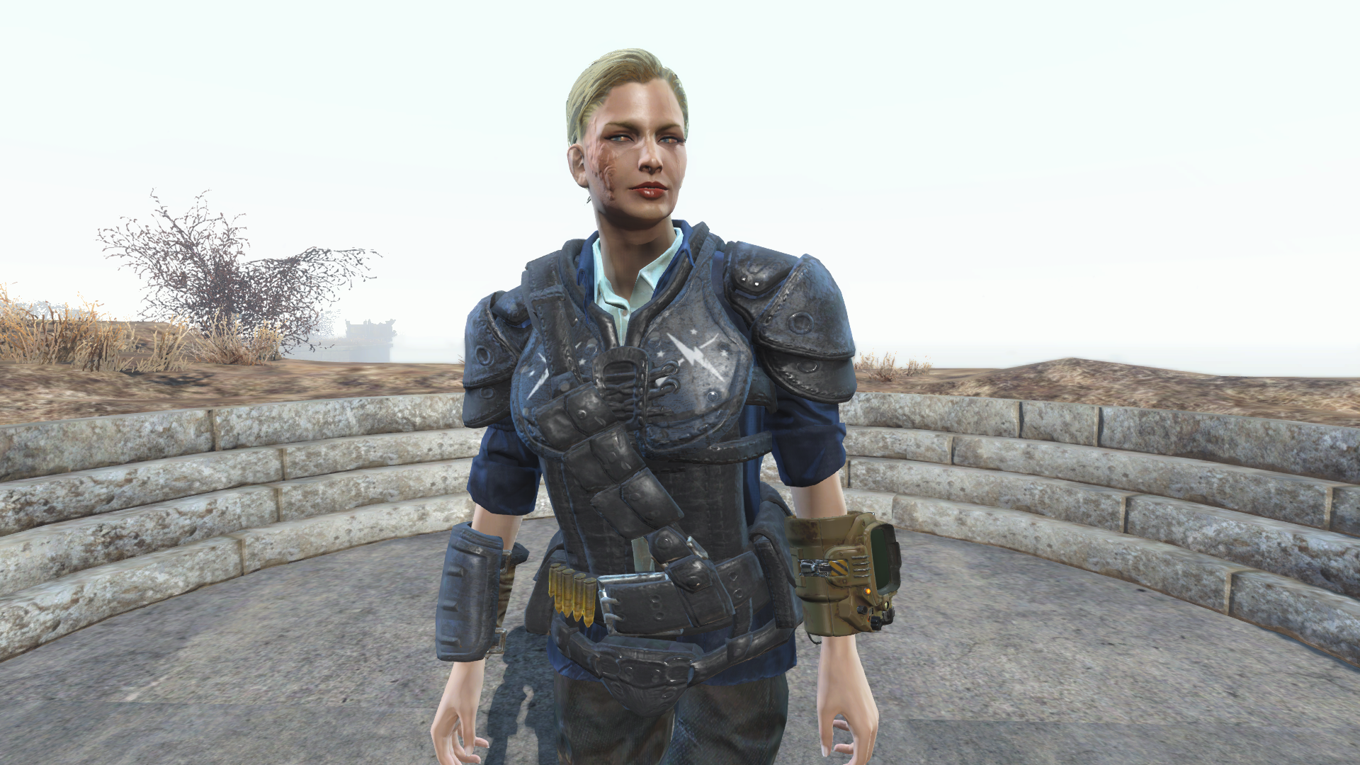 辐射4 武器装备 民兵皮革盔甲 截图