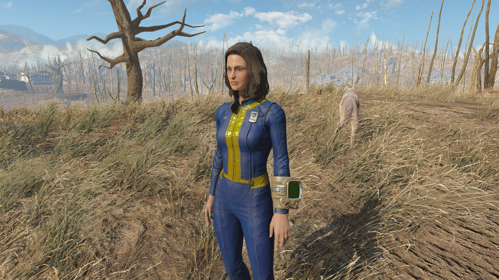 辐射4 人物美化 重塑经典vault套装 截图