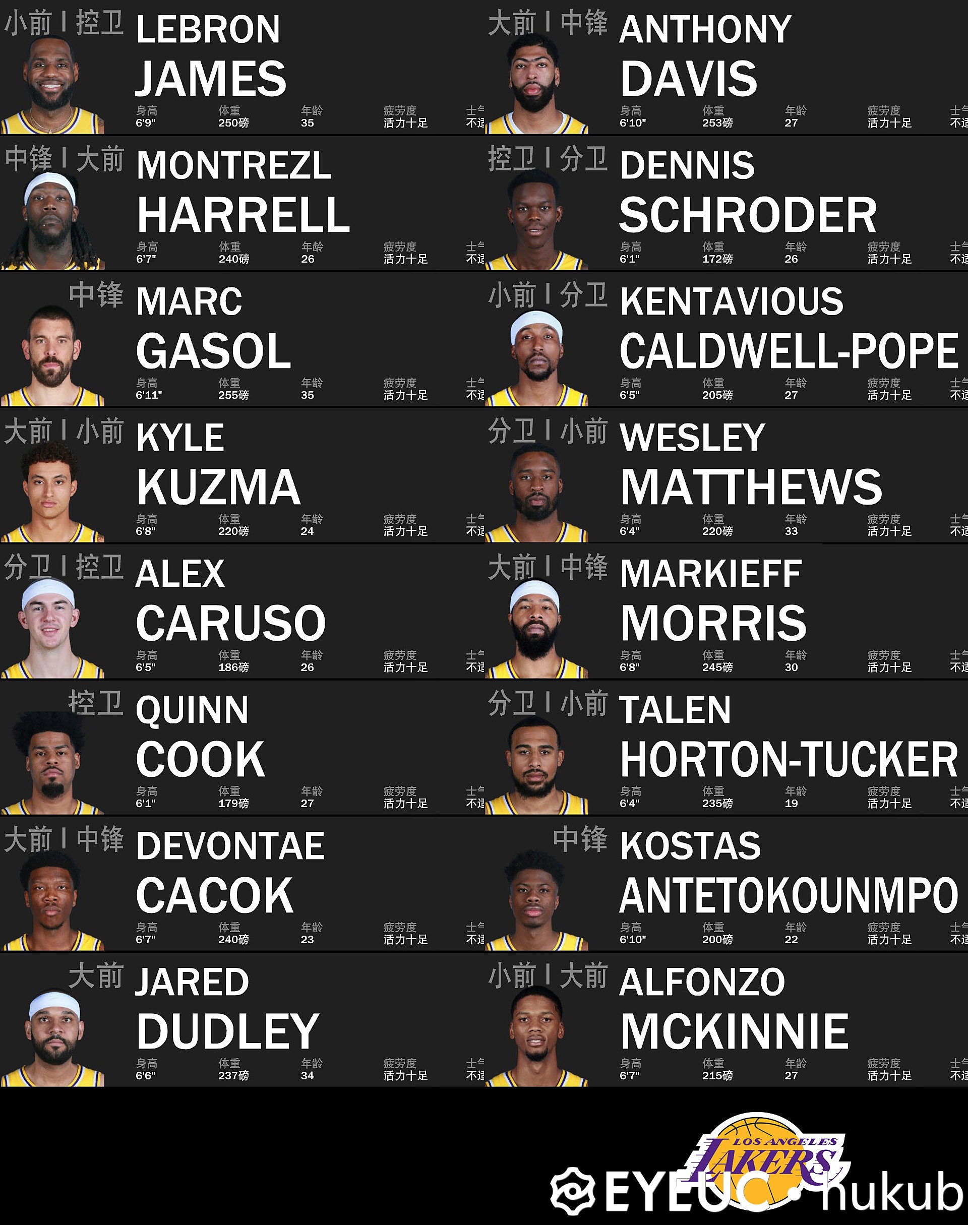 全赛季NBA录像回放免费完整版合集收录热门球队比赛全程记录