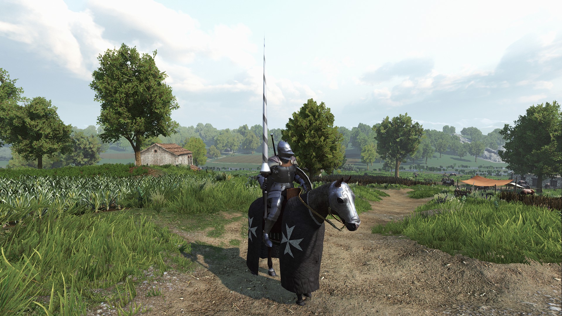 弗兰迪安骑士的长矛