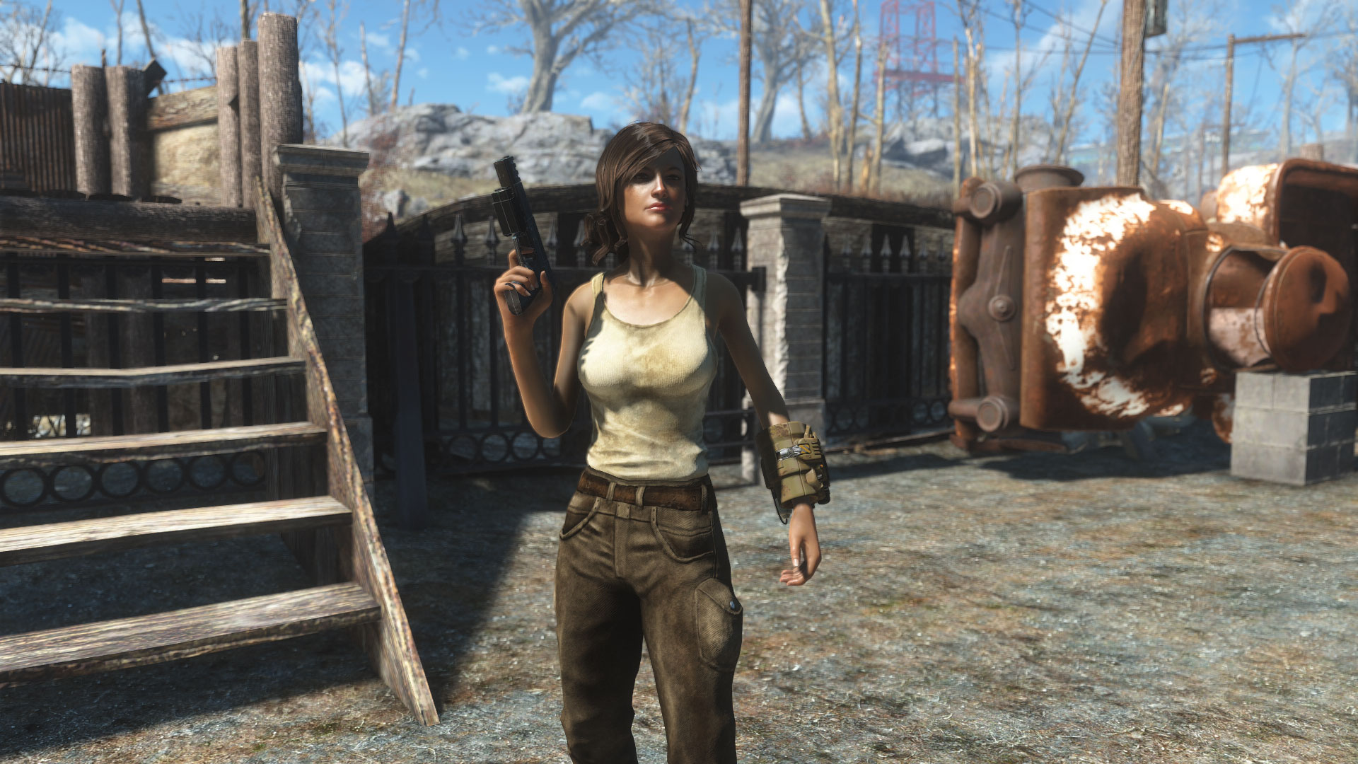 辐射4 人物美化 ann预设 截图