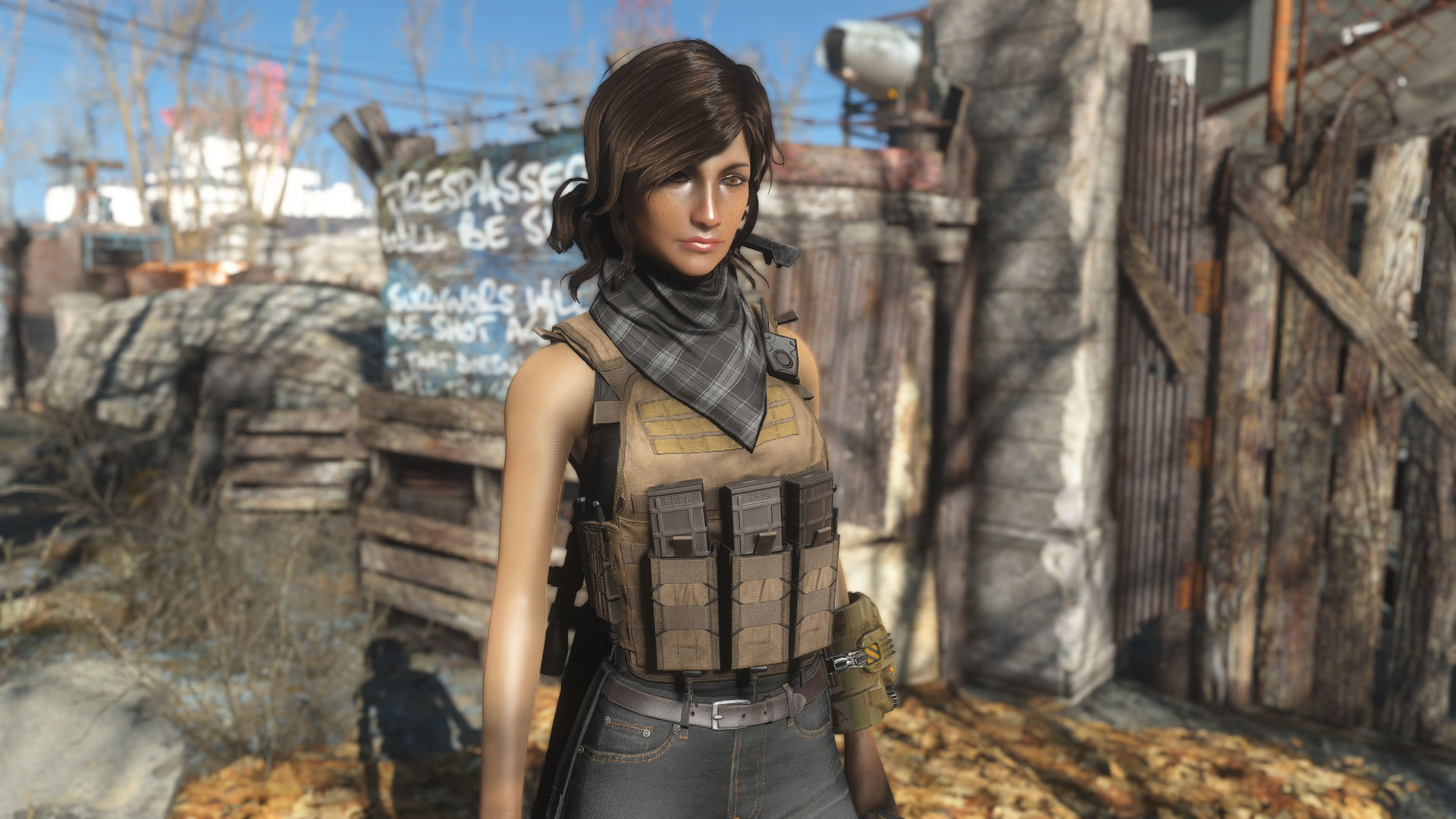 辐射4 人物美化 ann预设 截图