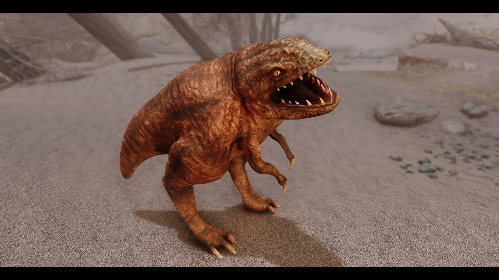 米哈伊尔怪物和动物