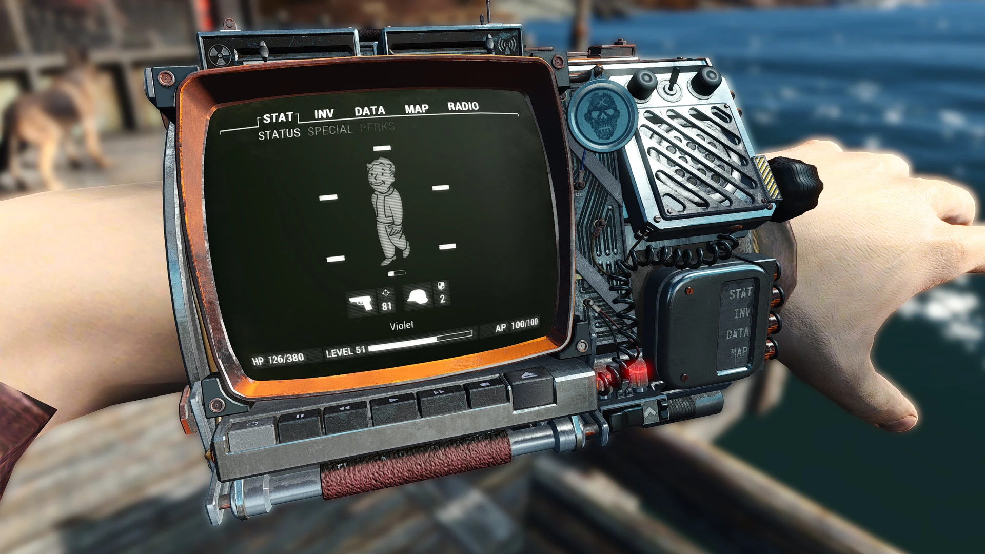 辐射4 武器装备 bb小子w.s