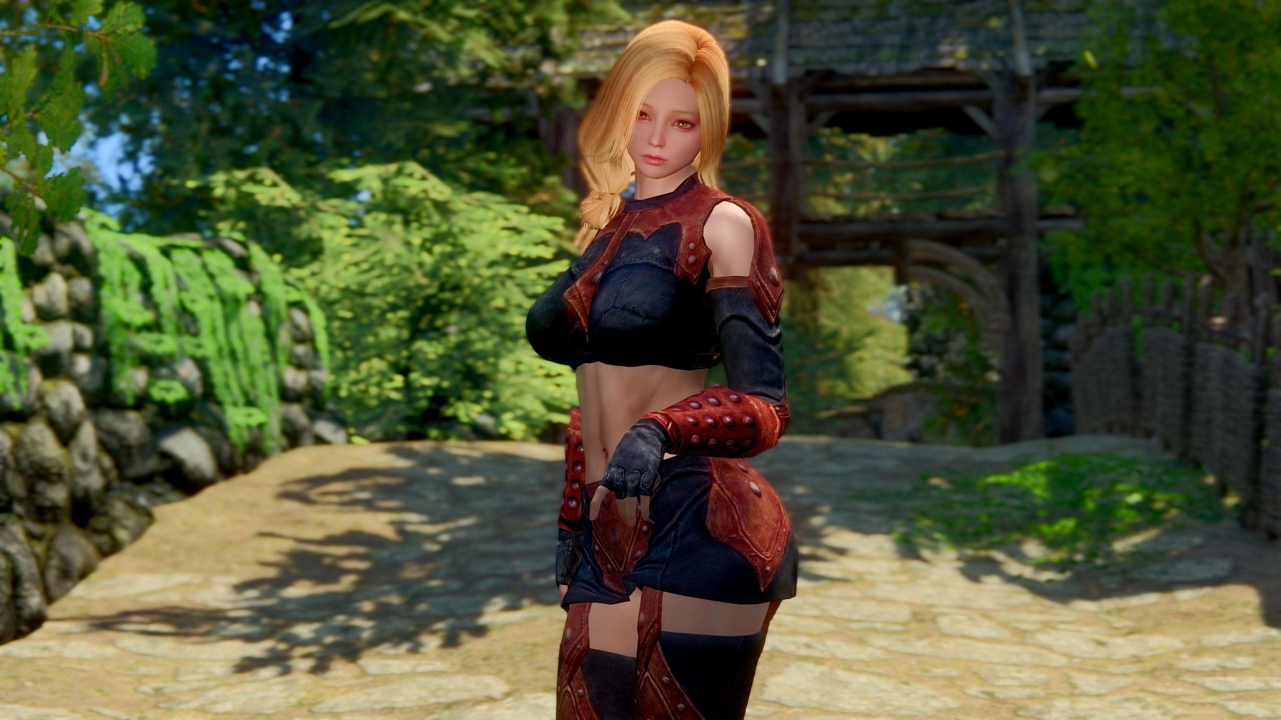 上古卷轴5:天际 黑暗兄弟会女当家美化mod