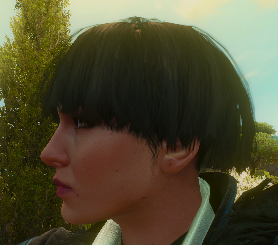 巫师3:狂猎 短发叶奈法mod