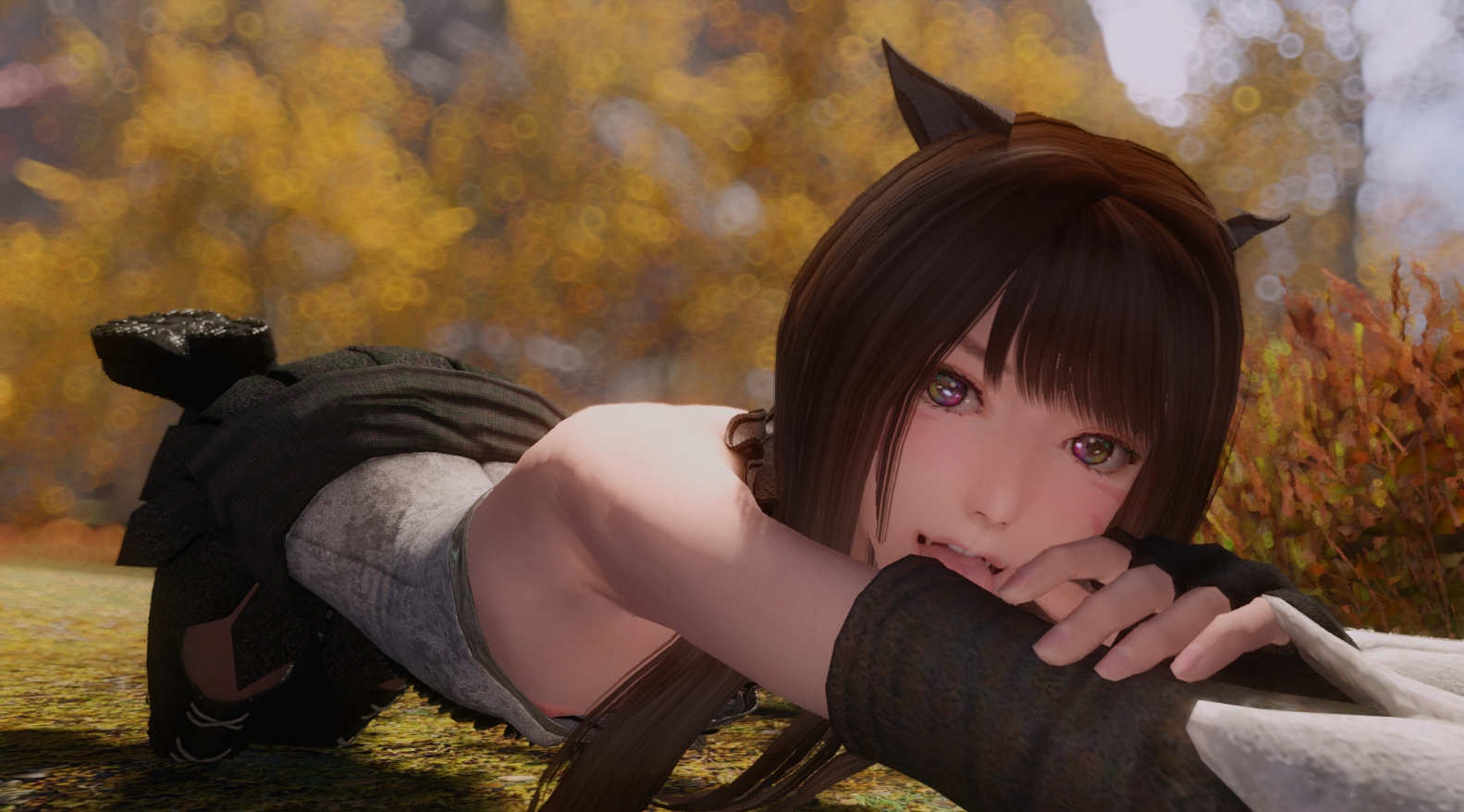 上古卷轴5独立随从猫魅女米柯提mod