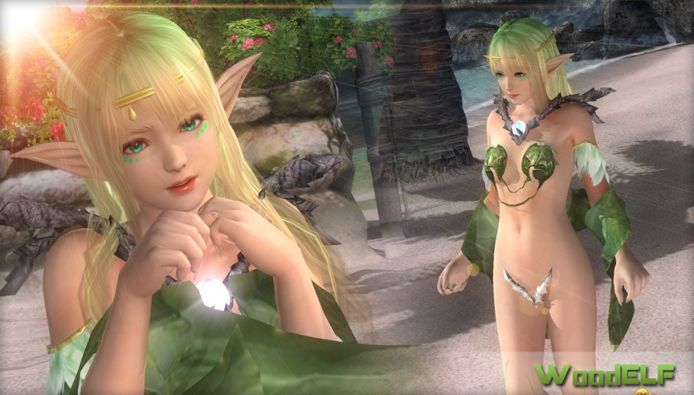 死或生5最后一战玛丽罗斯阿肯宝石木精灵mod