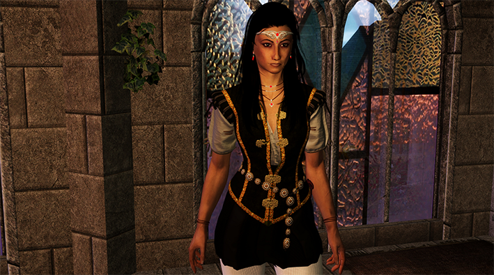 上古卷轴5unp巫师3夏妮黑色护甲mod