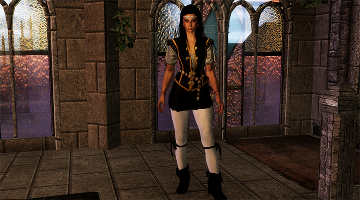 上古卷轴5unp巫师3夏妮黑色护甲mod