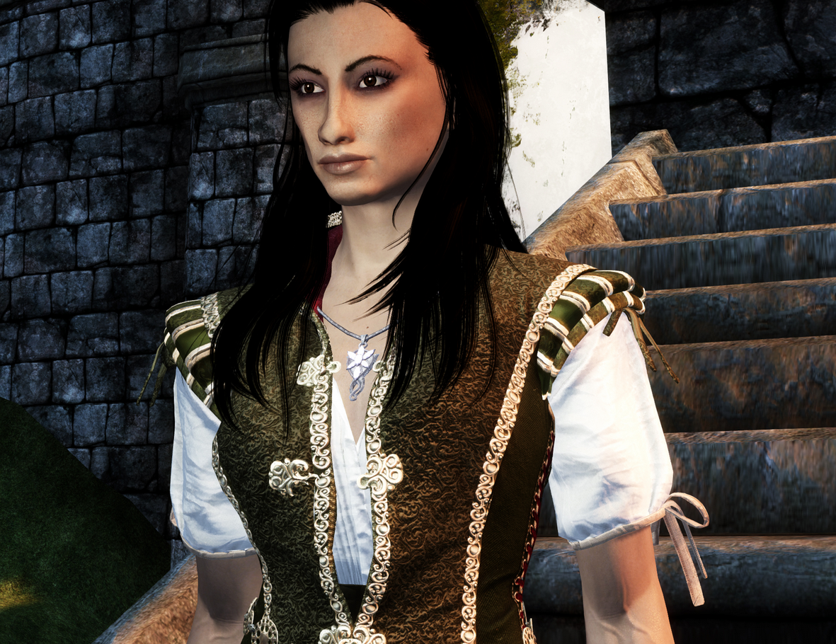 上古卷轴5unp巫师3夏妮黑色护甲mod