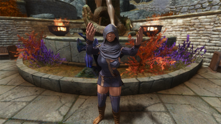 上古卷轴5 所有npc女性化mod